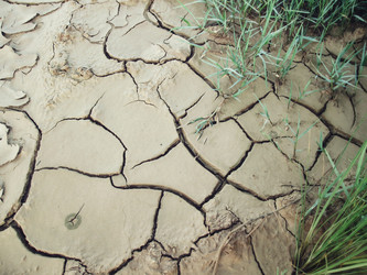 Similar image 9110623