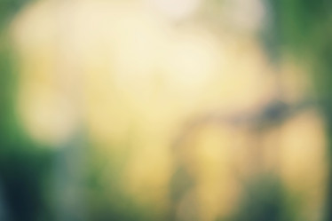 Similar image 9110648