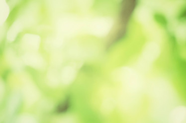 Similar image 9110752