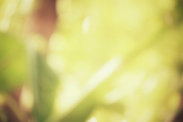 Similar image 9110753