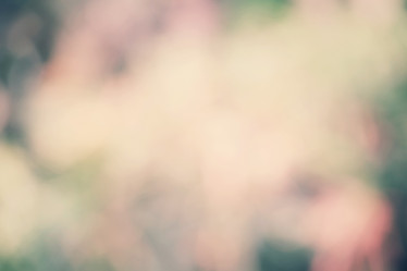 Similar image 9110755