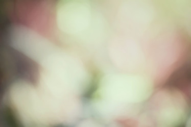 Similar image 9110784