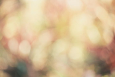 Similar image 9110786