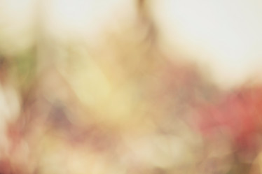 Similar image 9110884