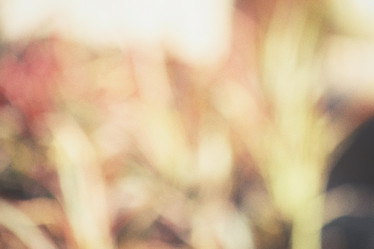 Similar image 9110889