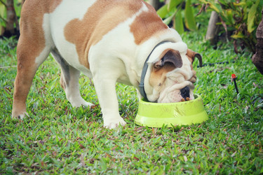 Similar image 9110901