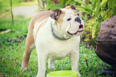 Similar image 9110903