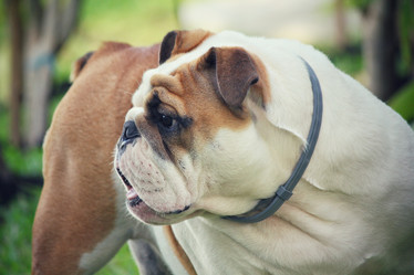 Similar image 9110907