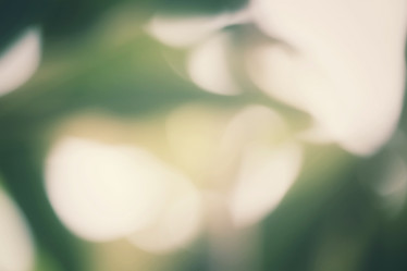 Similar image 9110911