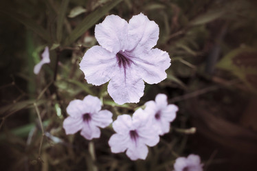 Similar image 9111020