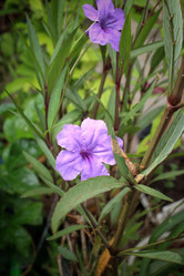 Similar image 9111024