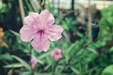 Similar image 9111030