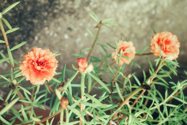 Similar image 9111032