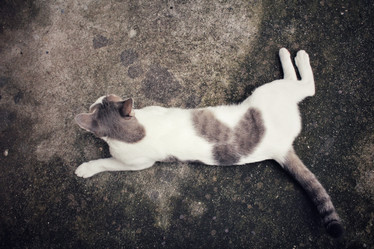 Similar image 9111036