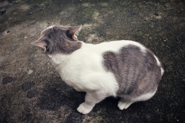 Similar image 9111038