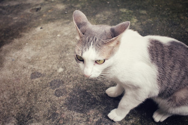 Similar image 9111041