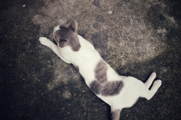 Similar image 9111043