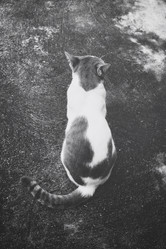 Similar image 9111045