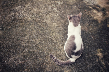 Similar image 9111047