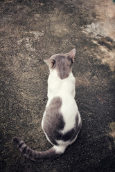 Similar image 9111051