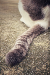 Similar image 9111053