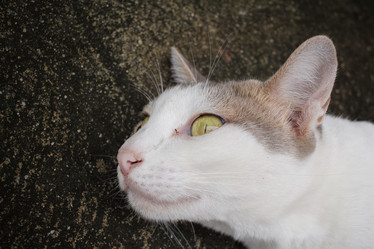 Similar image 9111054