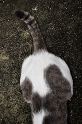 Similar image 9111122