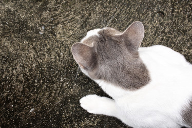 Similar image 9111124