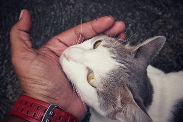 Similar image 9111126