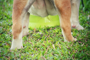 Similar image 9111131