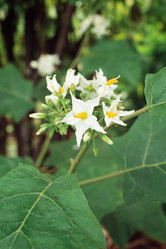 Similar image 9111140