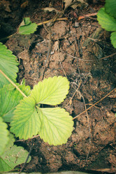 Similar image 9111142