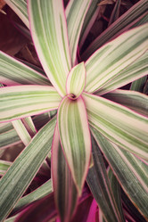 Similar image 9111150