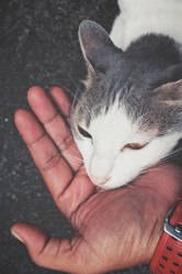 Similar image 9111230