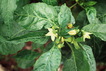 Similar image 9111236