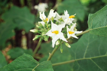 Similar image 9111237