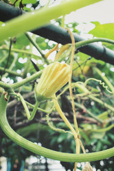 Similar image 9111239