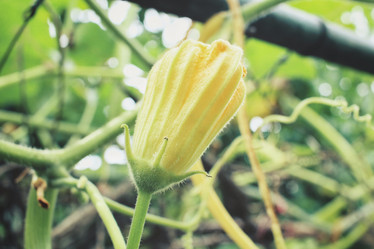 Similar image 9111240