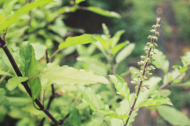 Similar image 9111246