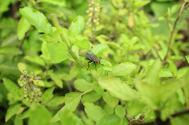 Similar image 9111248