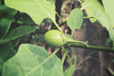 Similar image 9111249