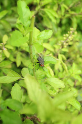 Similar image 9111251