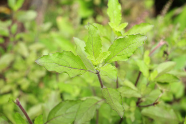 Similar image 9111253