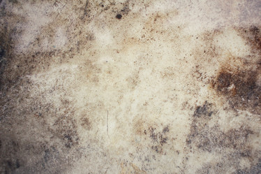 Similar image 9111255