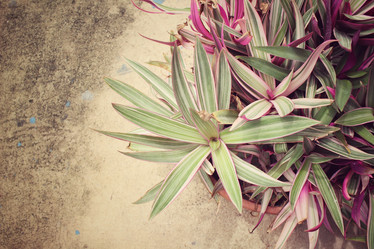 Similar image 9111258