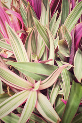 Similar image 9111260