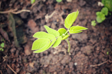 Similar image 9111355