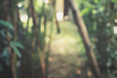 Similar image 9111380