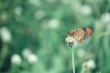 Similar image 9111783