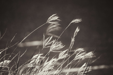 Similar image 9111785